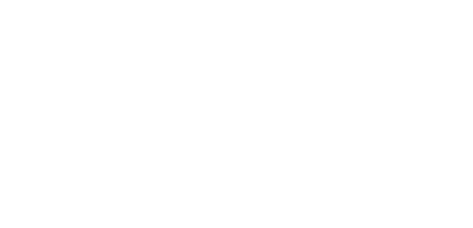 NEIKLO L.D.N. Company