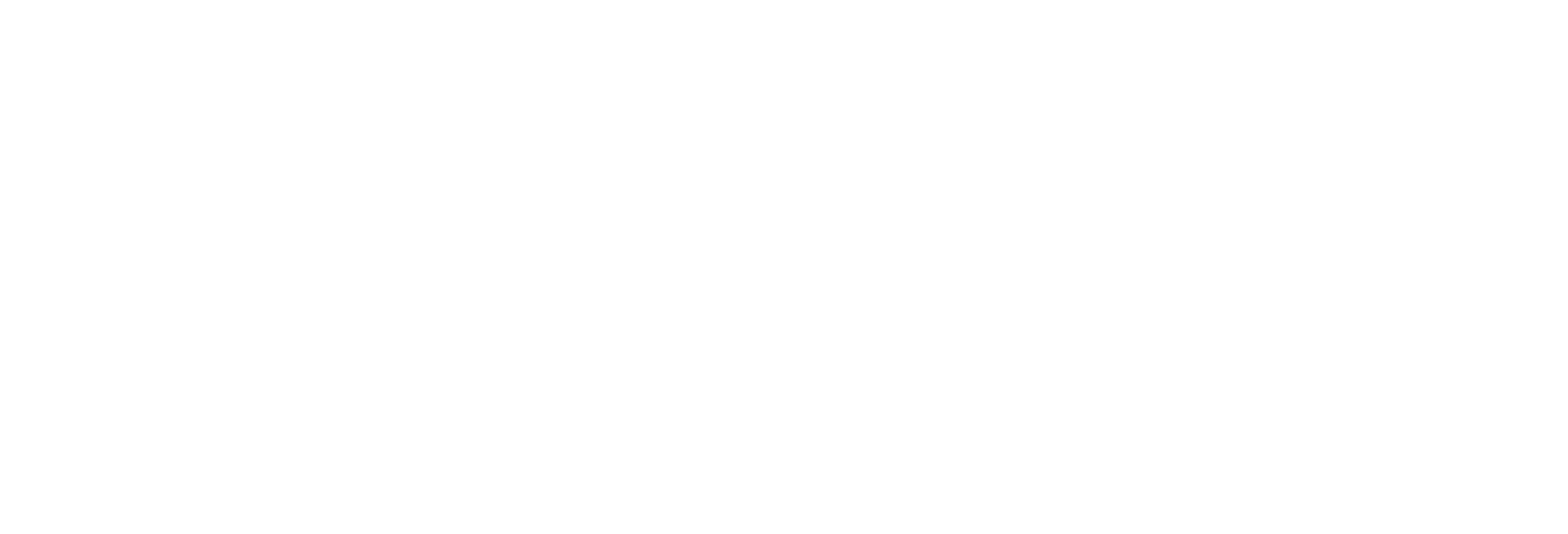 NEIKLO L.D.N. Company